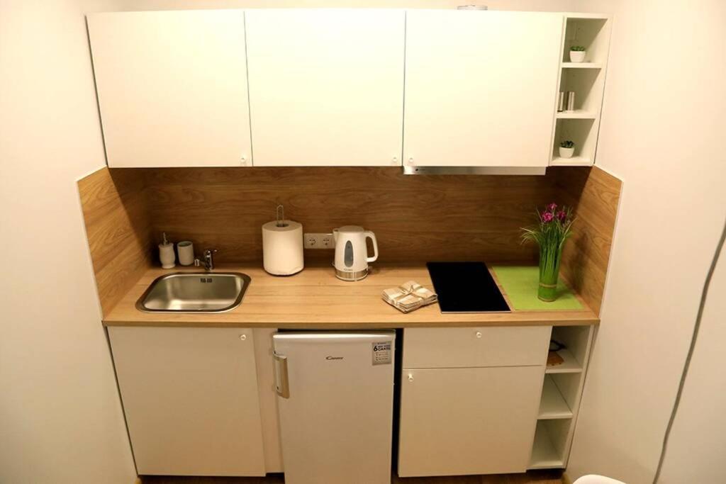Bright Apartment,For 1-4,Near Old Town Вільнюс Екстер'єр фото